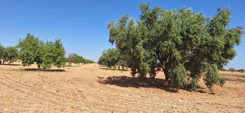 WhatsApp Image 2025-09-01 at 13.35.23_ce5b8abd