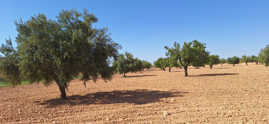 WhatsApp Image 2025-09-01 at 13.35.23_d9a9b944